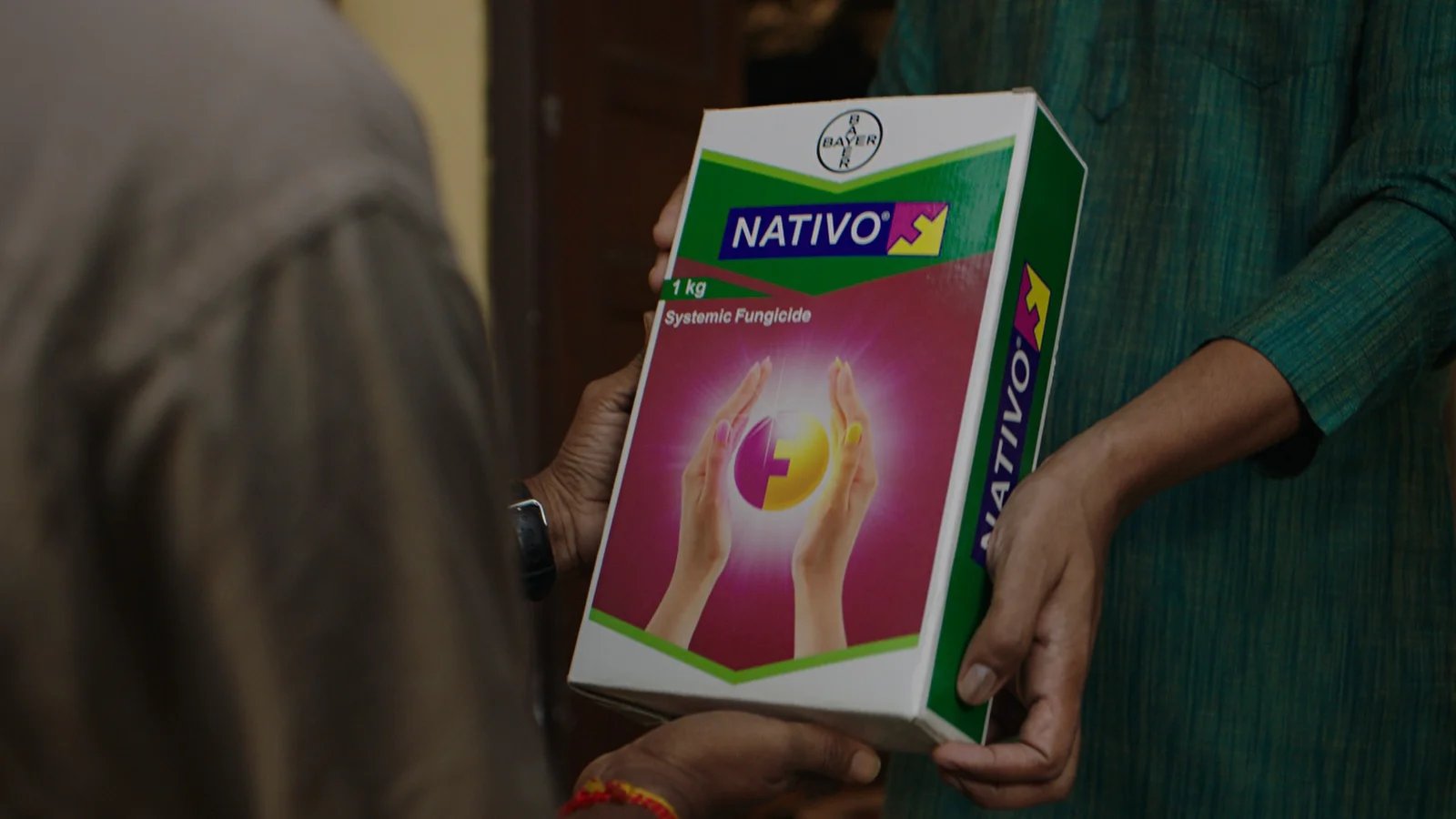 Nativo